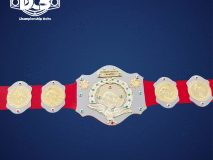 WWE Intercontinental Championship Title Belt