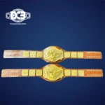 World tag team championship title replica