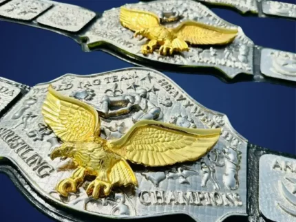 World Tag Team Championship Replica