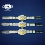 World Tag Team Gold Championship Belt